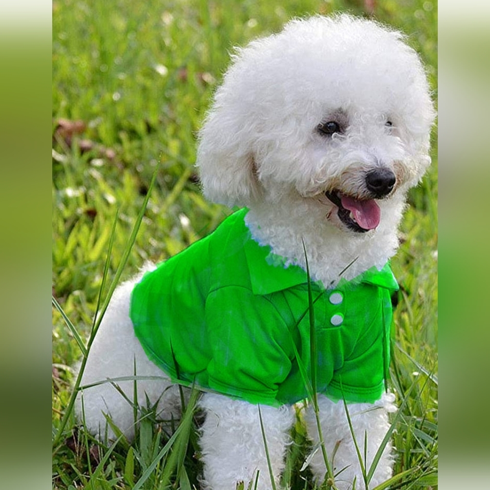NWT Green puppy dog polo shirt size M